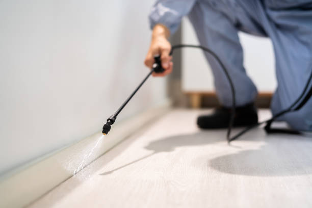 Bed Bug Pre-Treatment Preparation Assessment in Bowling Green